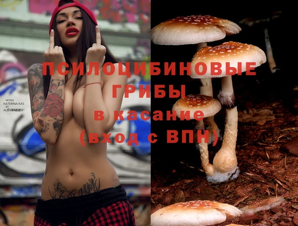 MDMA Алексин
