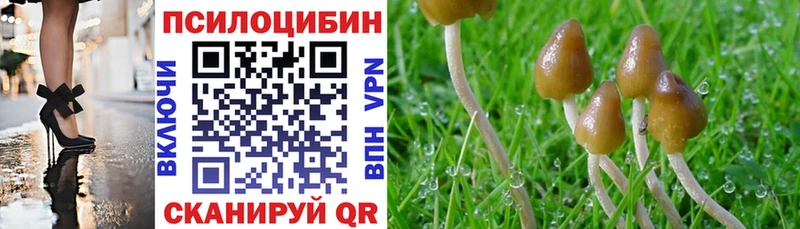 Галлюциногенные грибы мицелий  shop наркотические препараты  Болхов 